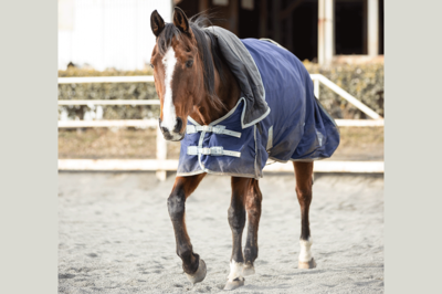 大河ドラマで菅田将暉に小栗旬、岡田准一も乗った名役馬・バンカーが永眠、“最後の取材”で見せた素顔と「…