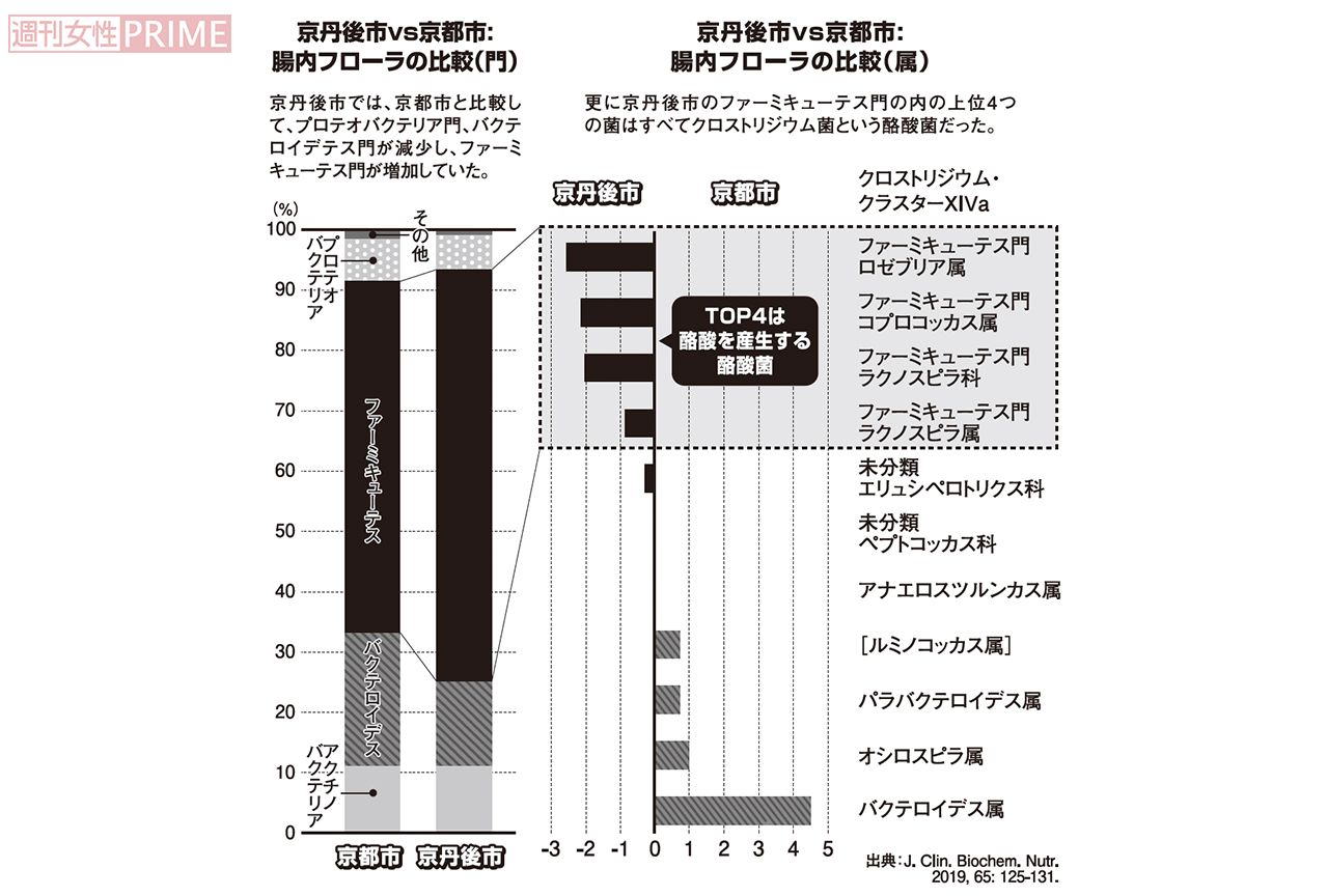 京丹後市VS京都市　腸内フローラの比較　グラフィック／スヤマミヅホ