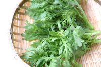 東西の食材・調味料はこんなに違う「関西のスーパーには春菊が売ってない」