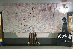 土浦セントラルシネマズで桜の木を模して飾られている、出演した映画の監督やファンからのメッセージ