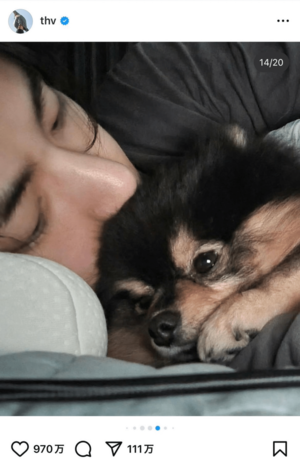 画像・写真】BTS・V、兵役中に愛犬ヨンタンの“旅立ち”を報告で