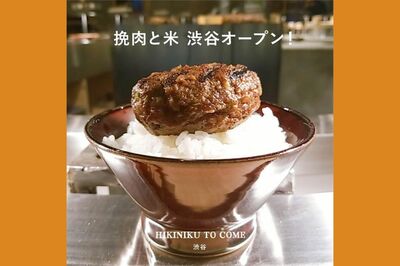 タピオカ、唐揚げ、高級食パンの次は「ハンバーグ丼」がブーム！便乗して増殖する“味の落ちるパクリ店”の…