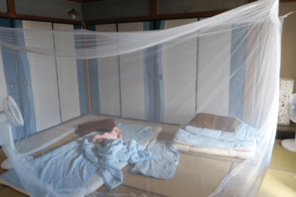 蚊帳。「かや」と読むのが一般的。クレオパトラも愛用していたといわれるほど、古い歴史が！その時代にも蚊がいたのもスゴイ。