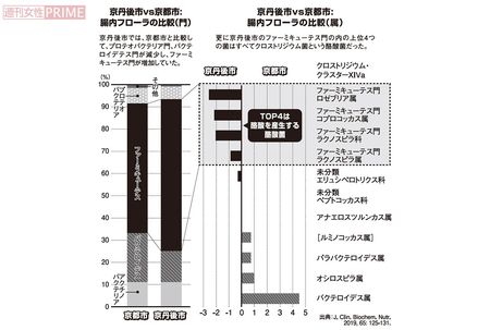 京丹後市VS京都市　腸内フローラの比較　グラフィック／スヤマミヅホ