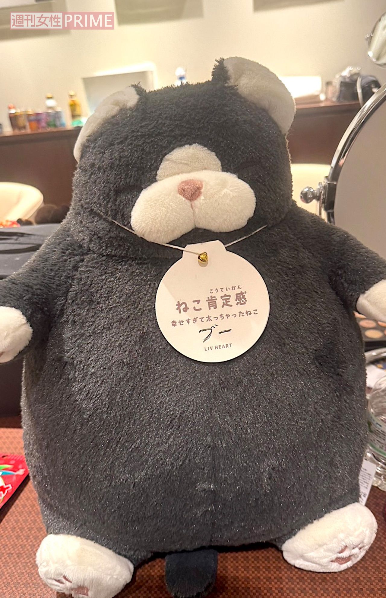 ブーさんの好きな“ねこ肯定感”のぬいぐるみ。タグに「ブー」と手書きが（笑）　撮影／加藤綾菜