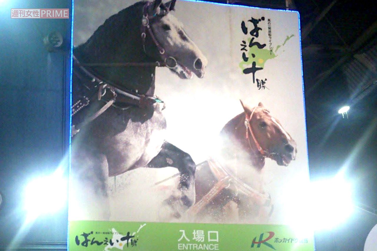ばんえい競走が行われている北海道・帯広競馬場　撮影／編集部