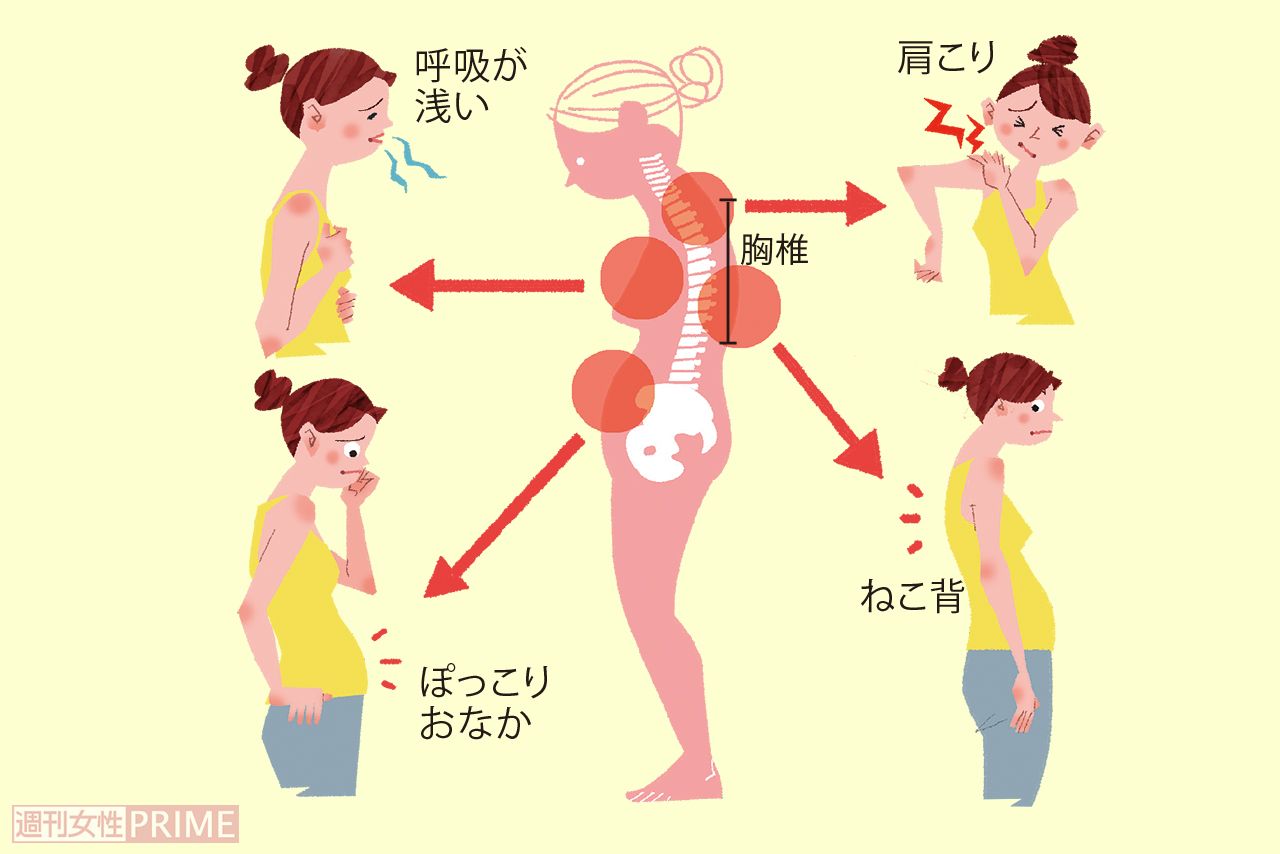 背骨の胸から腰にかけた骨がガチガチに固まって使えていないと、腰痛だけでなく、身体にあらゆる不具合を起こすことが判明！イラスト／原裕子