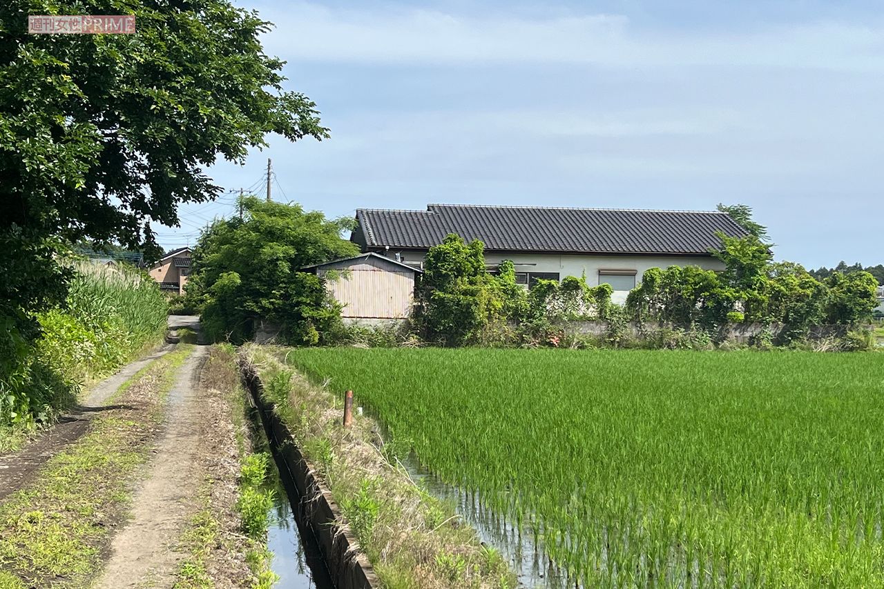 事件があった坂田家。あぜ道や田んぼに囲まれた立地条件で、敷地外にも草木がはみ出して生い茂っているのが確認できる