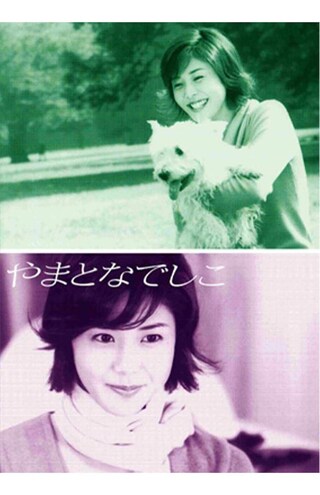 韓国でリメイクドラマになるほど人気があった『やまとなでしこ』。脚本家の中園ミホの代表作でもある（DVD-BOX）