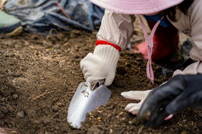 ※写真はイメージです