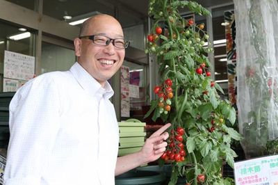 キッチンやベランダで！ いま人気の「プチ家庭菜園」初心者がやりがちな失敗とは