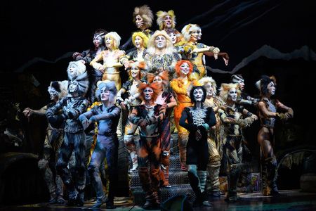 『キャッツ』　撮影：山之上雅信