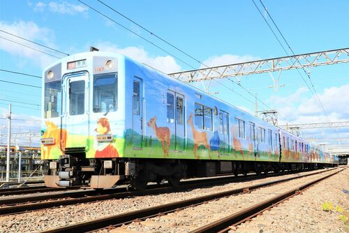 レア車両★奈良『ならしかトレイン』