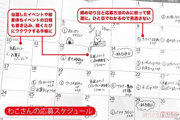 わこさんの応募スケジュール