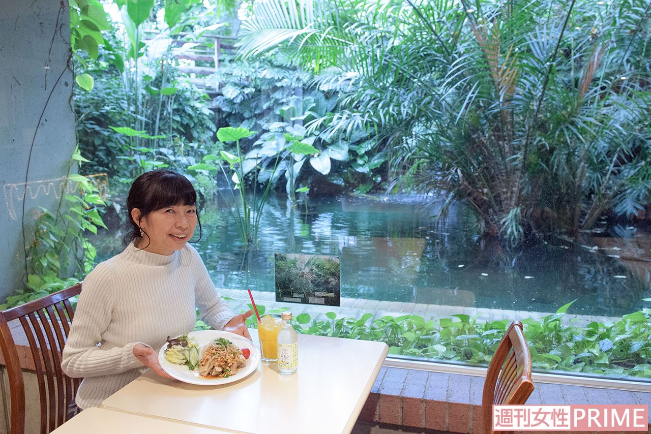 「夢の島カフェ」でリゾートランチ気分。「タイ風チキンライス（カオマンガイ）」（900円、すべて税込み）、「小笠原レモンサイダー」（900円）、「トロピカルジュース（マンゴー）」（450円）、ほかデザートも　撮影／渡邉智裕