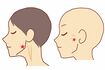 右図の★が「下関」という頬のくぼみにある、歯や歯茎の痛みを緩和するツボ。左図の★が、歯を食いしばるときに出っ張る部分の、同じく痛みを軽減させるツボの「頬車」