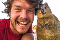 “世界一幸せな動物”クオッカワラビーの特別なパワー「ストレスが全部吹き飛ぶ!」