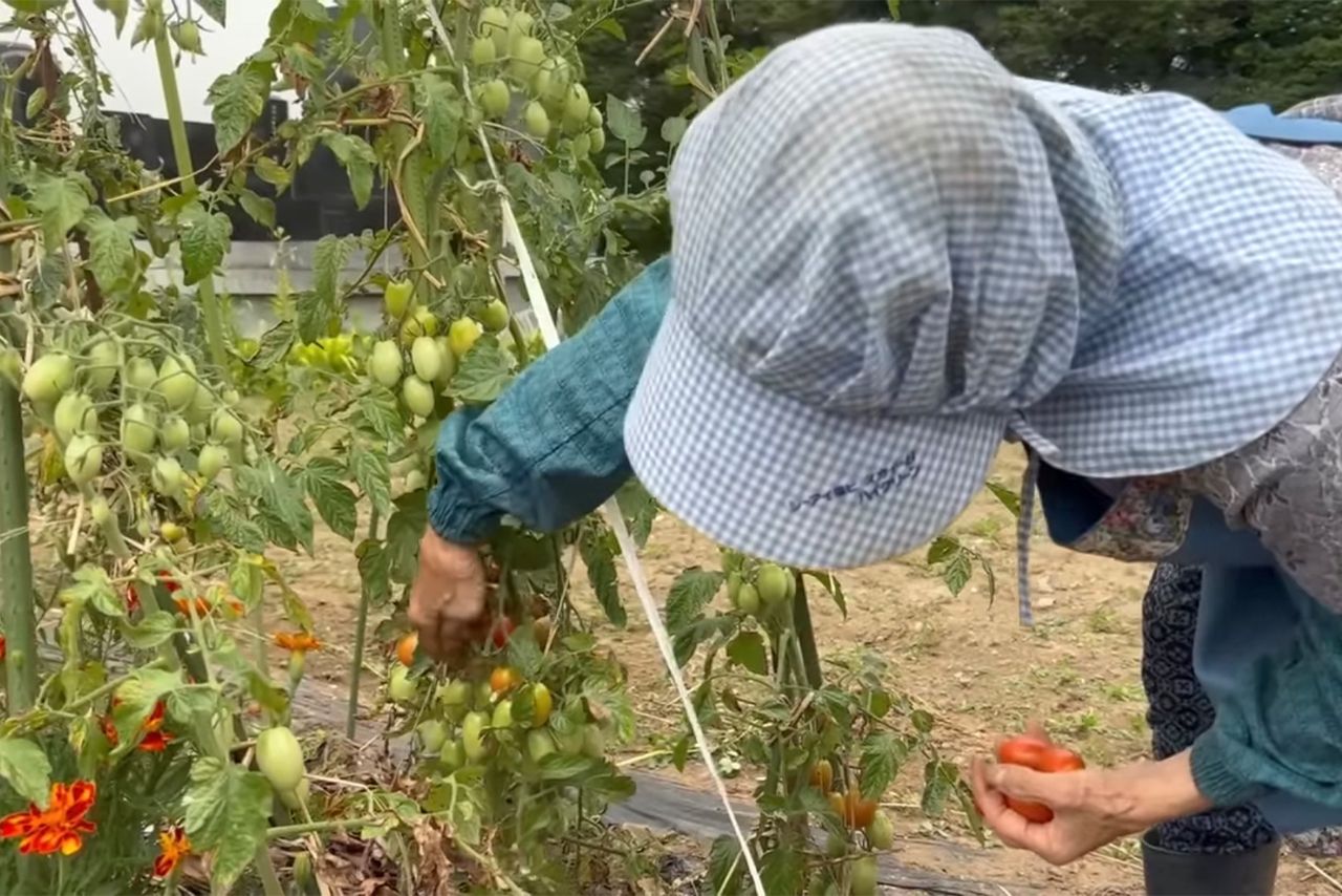 きのえのプレイランド