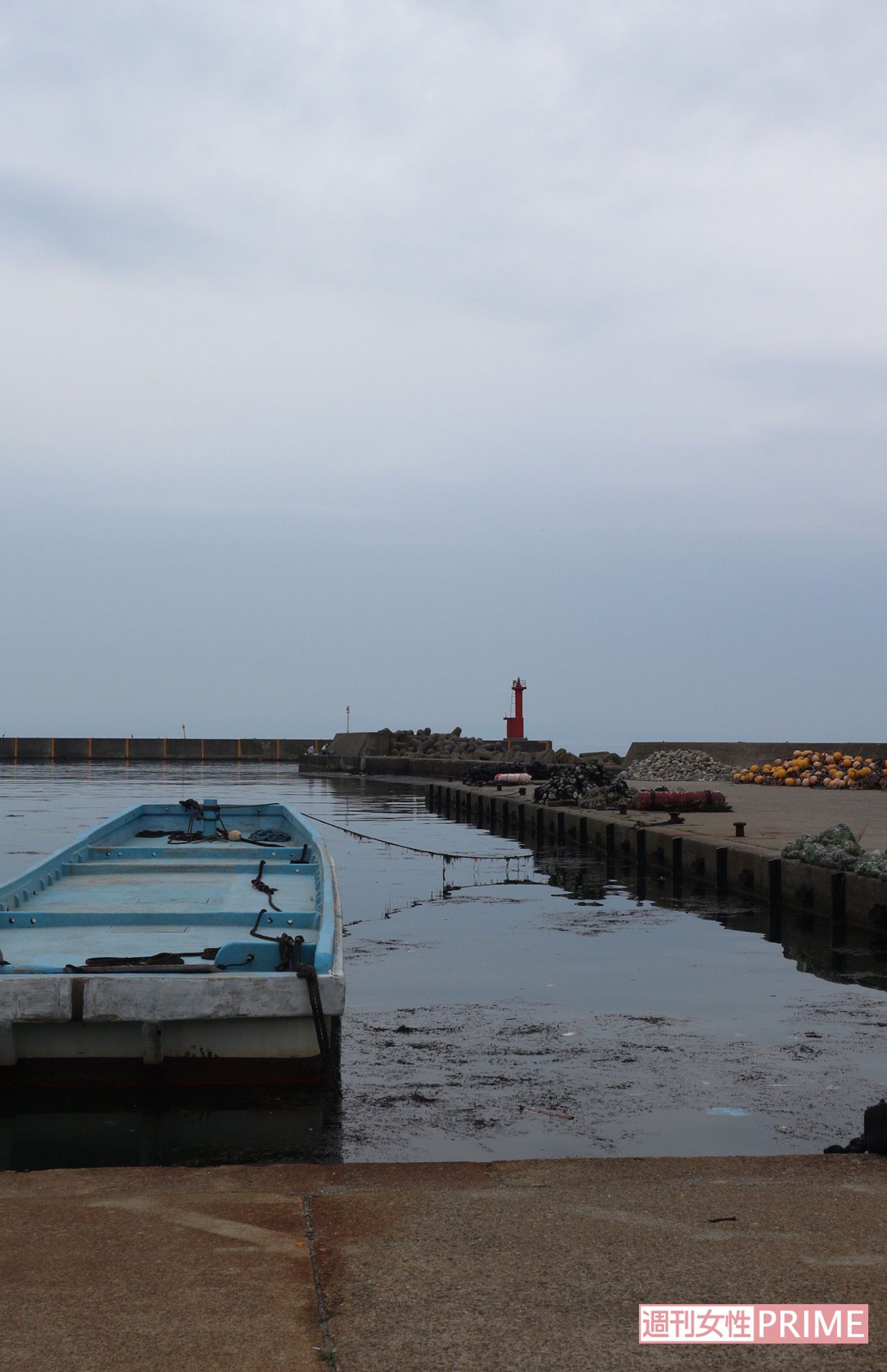 死骸を遺棄したとみられる四方漁港。実際に猫の死骸が見つかった