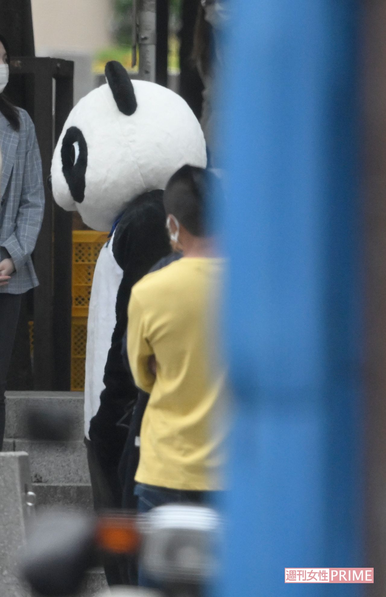 ドラマ『六本木クラス』ロケ、パンダの着ぐるみをきる竹内涼真（2022年5月）