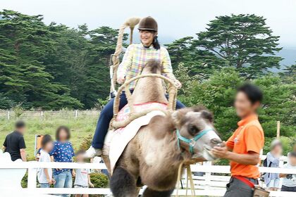 『那須どうぶつ王国』内のラクダの騎乗体験ではご両親に見守られながら楽しまれた（8月28日）