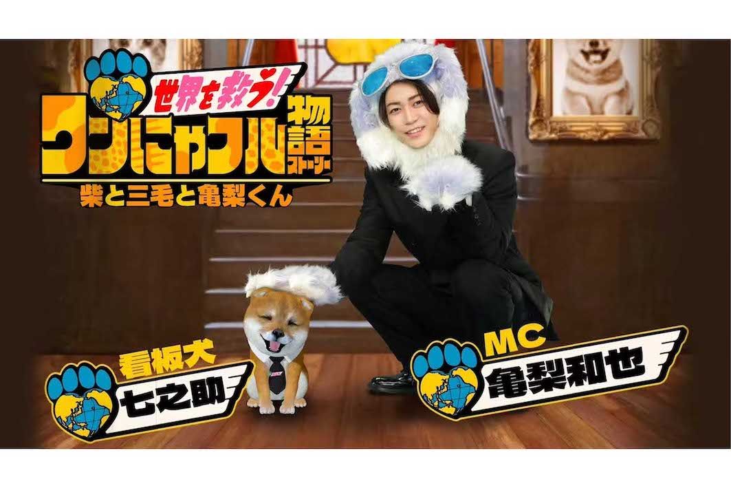 『世界を救う！ワンにゃフル物語　柴と三毛と亀梨くん』（テレビ東京系）で独立後初MCを務める元KAT-TUNの亀梨和也（番組公式サイトより）