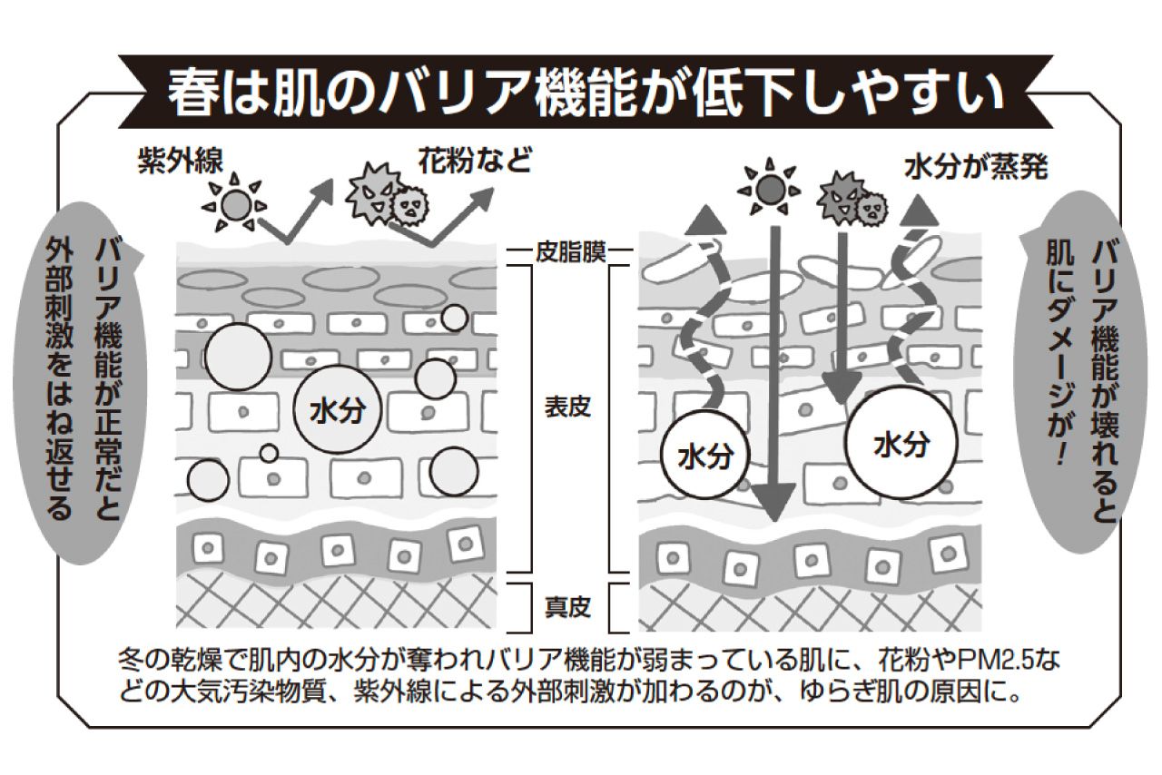冬の乾燥で肌内の水分が奪われバリア機能が弱まっている肌に、花粉やPM2.5などの大気汚染物質、紫外線による外部刺激が加わるのが、ゆらぎ肌の原因に。