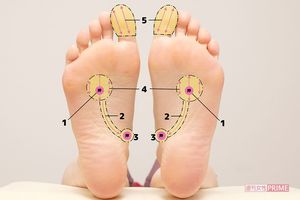 押す位置の全体図　