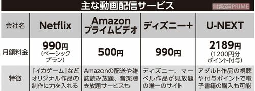 主な動画配信サービス（2022年）