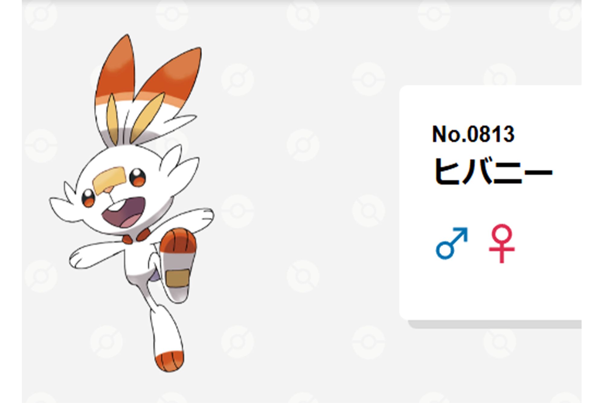 巨人の『パートナーポケモン』ヒバニー（ポケモン公式サイトより）