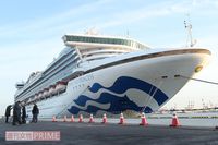 《新型コロナ》クルーズ船に残された30代男性、『数独』と“折り鶴”量産の日々