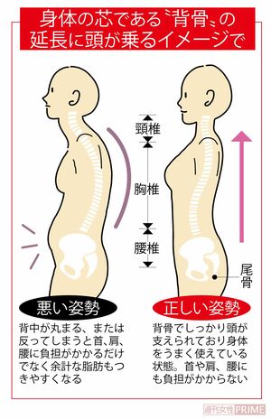 「正しい姿勢」は身体の芯である“背骨”の延長に頭が乗るイメージ