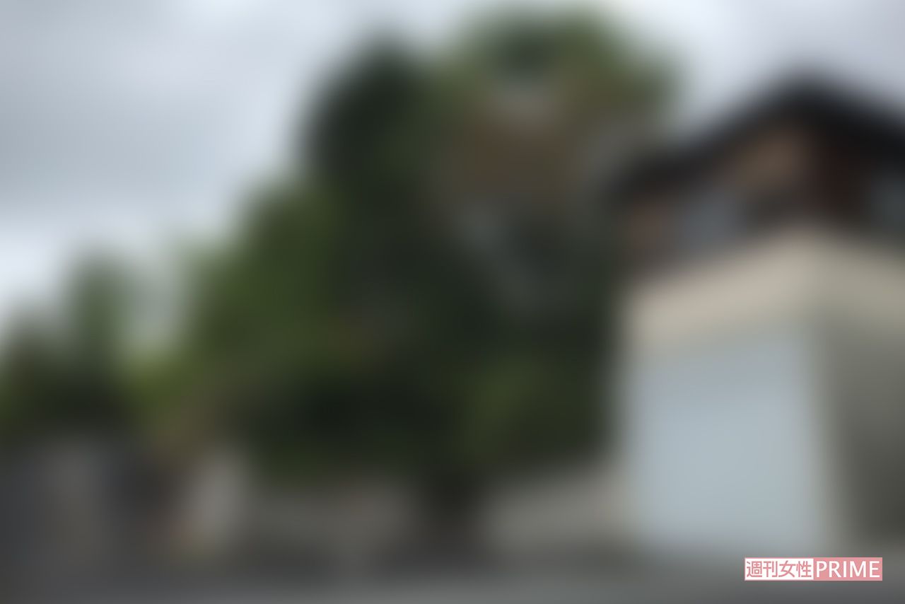 高台に建つ武家屋敷のような山下八洲夫容疑者の自宅