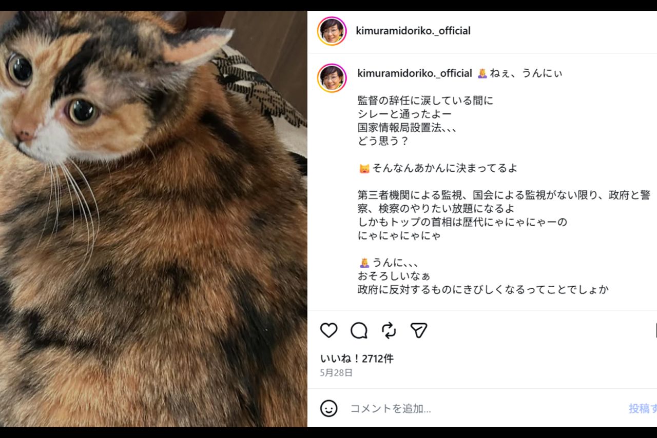 『国家情報会議設置法』に関する投稿をしていたキムラ緑子（公式Instagramより）