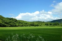 「ふるさと納税」今なら内容量が倍の返礼品も！ 達人が厳選する“お値打ちリスト”