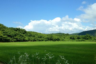 「ふるさと納税」今なら内容量が倍の返礼品も！ 達人が厳選する“お値打ちリスト”