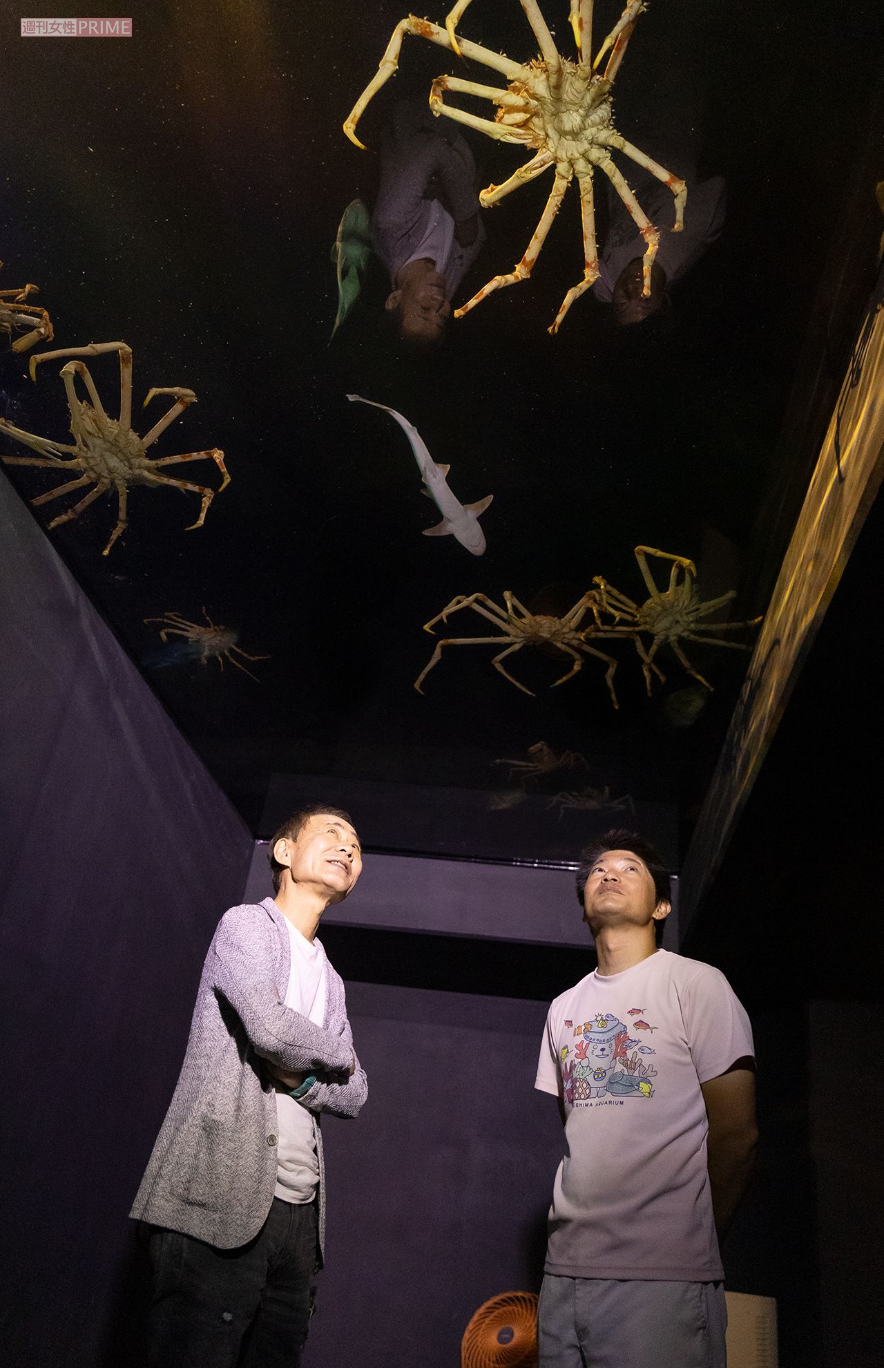 水族館プロデューサー・中村 元さん（撮影／矢島泰輔）