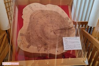 名古屋城に展示されていた大谷翔平のサイン
