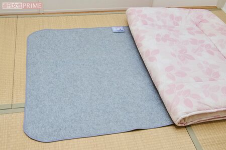 洗える珪藻土入り除湿シート/1990円ニトリ　撮影／山田智絵