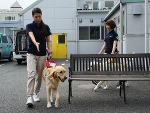 障害物のベンチをよけて歩行する訓練