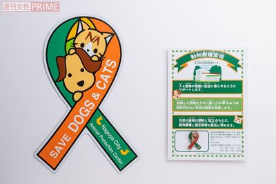 ふるさと納税で「犬・猫の殺処分ゼロ」に大きく貢献、名古屋市の取り組みに迫る