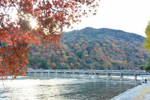 桂川にかかる渡月橋は嵐山のシンボル。昼間は観光客でごった返すため、山々を背景にした記念撮影は朝がベスト　画像提供／株式会社グラフィック