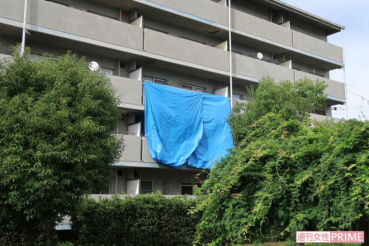 現場となった県営住宅にはブルーシートが