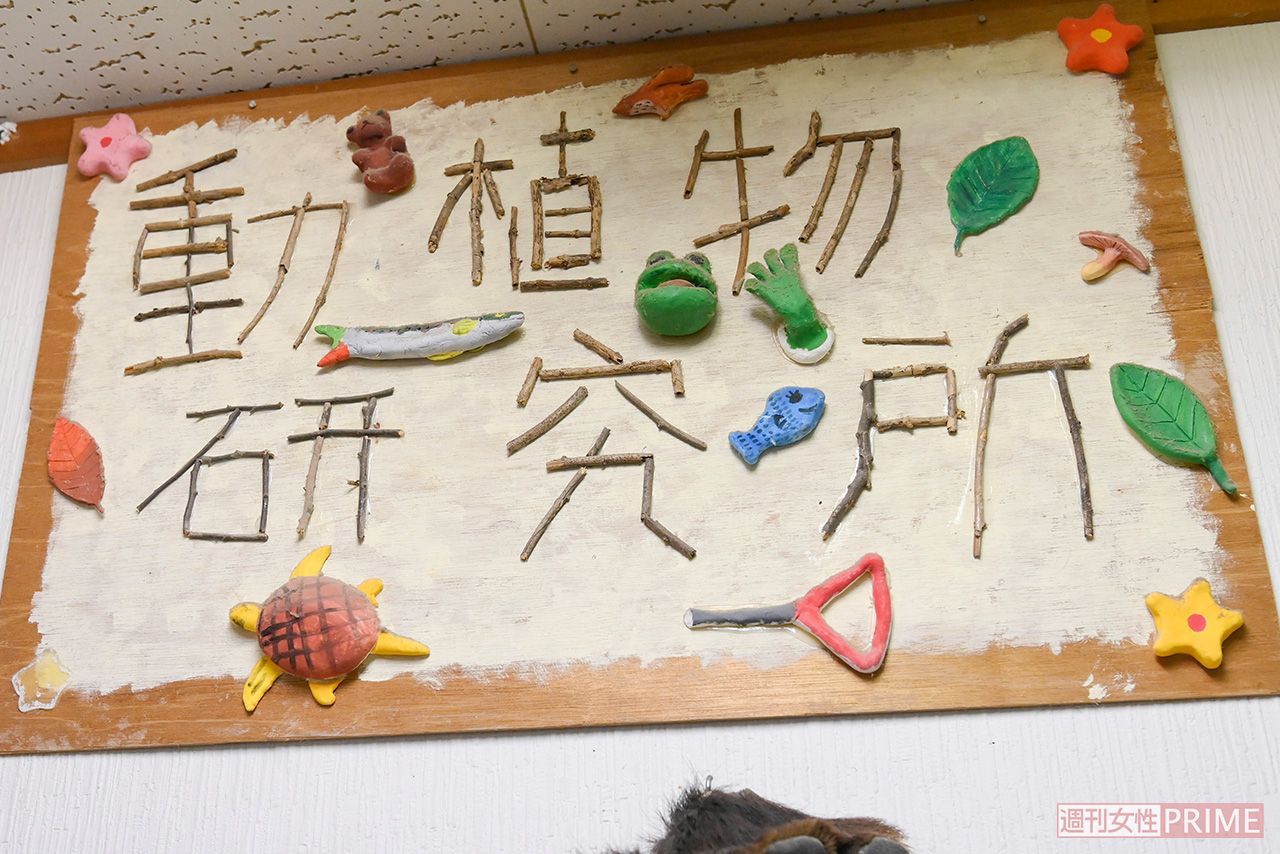 教室前にはユニークな手作り看板（撮影／渡邉智裕）