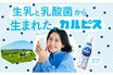 《カルピス105周年》「初CMは長嶋茂雄」「幻の“ずんだ”味」アサヒ飲料広報担当者が語る秘話と苦節の歴史