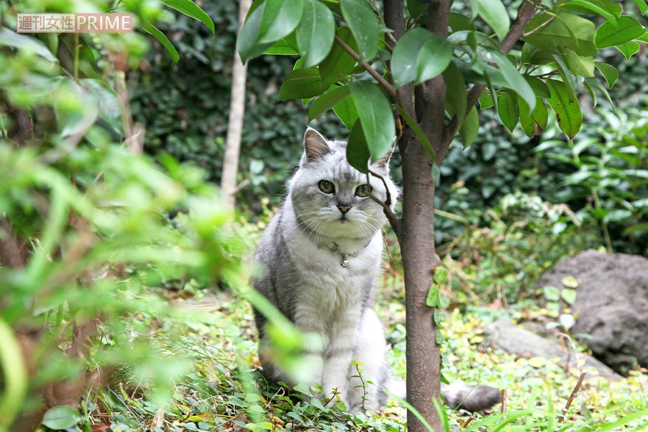 撮影／朝井まかてさん
