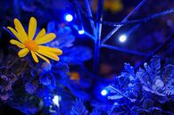 【心理診断】あなたは悪魔or天使？ 純粋度をチェック