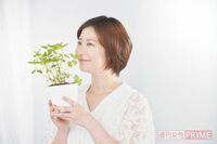 梅雨の不調に合わせてチョイス！頭痛にはペパーミント、紫外線にはパセリetc.「初心者ハーブ」