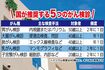 受けておきたい、国が推奨する5つのがん検診