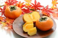 【知って楽しい雑学】これから旬を迎える柿、かたくてイマイチなときの“追熟”方法「冷蔵庫に入れず常温保…